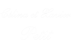 Logo Boucherie Petit