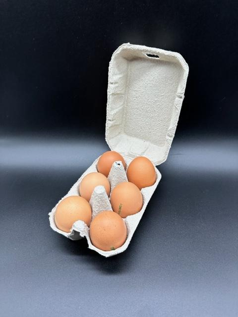 Oeufs plein air x6